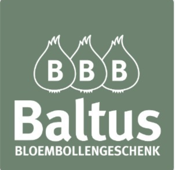 epop-festival-sponsor-logo-baltus